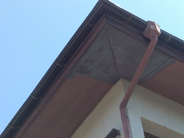 軒樋　施工完了